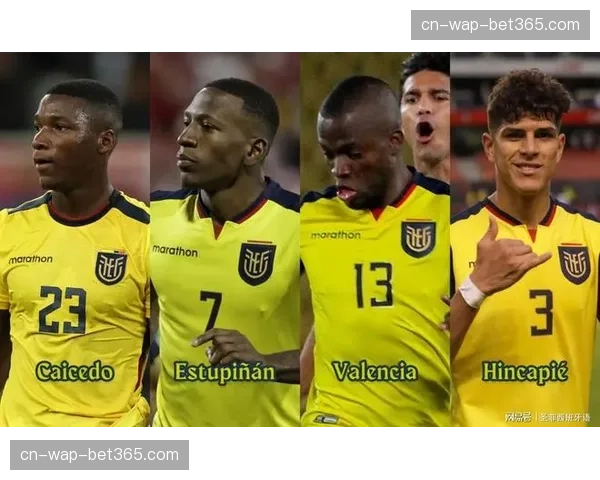 厄瓜多尔南美最强之盾：凯塞多领衔的中场屏障与防守组织